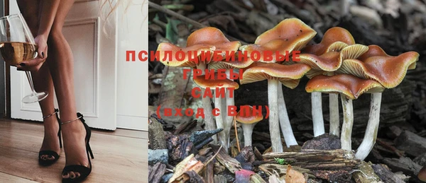 гидра Абдулино
