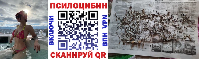 Псилоцибиновые грибы Psilocybe Барыш